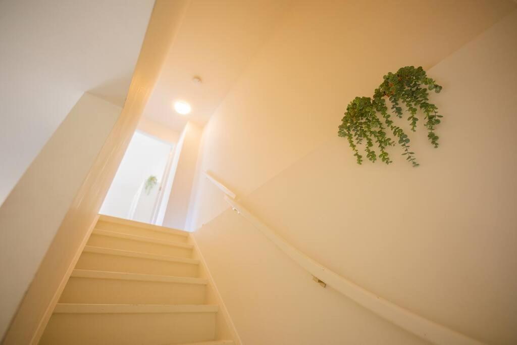 Lovely 3 Bedroom Apartment In Eindhoven 65M2 - Sd23N Luaran gambar